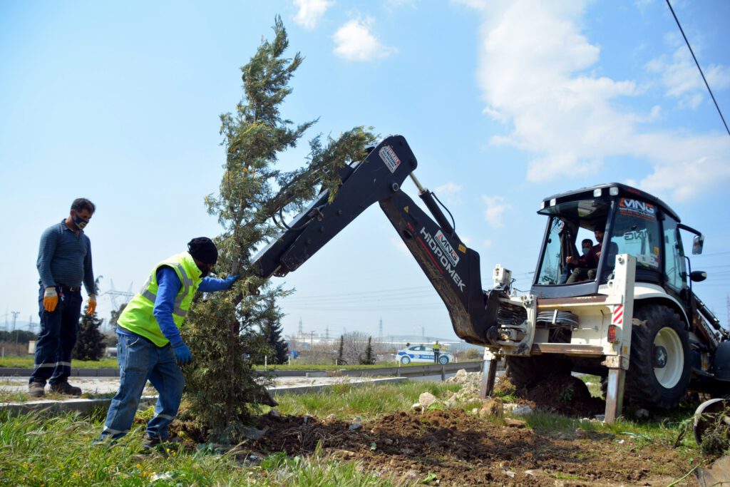 İzmir Aliağa’da yol kenarları ağaçlandırılıyor