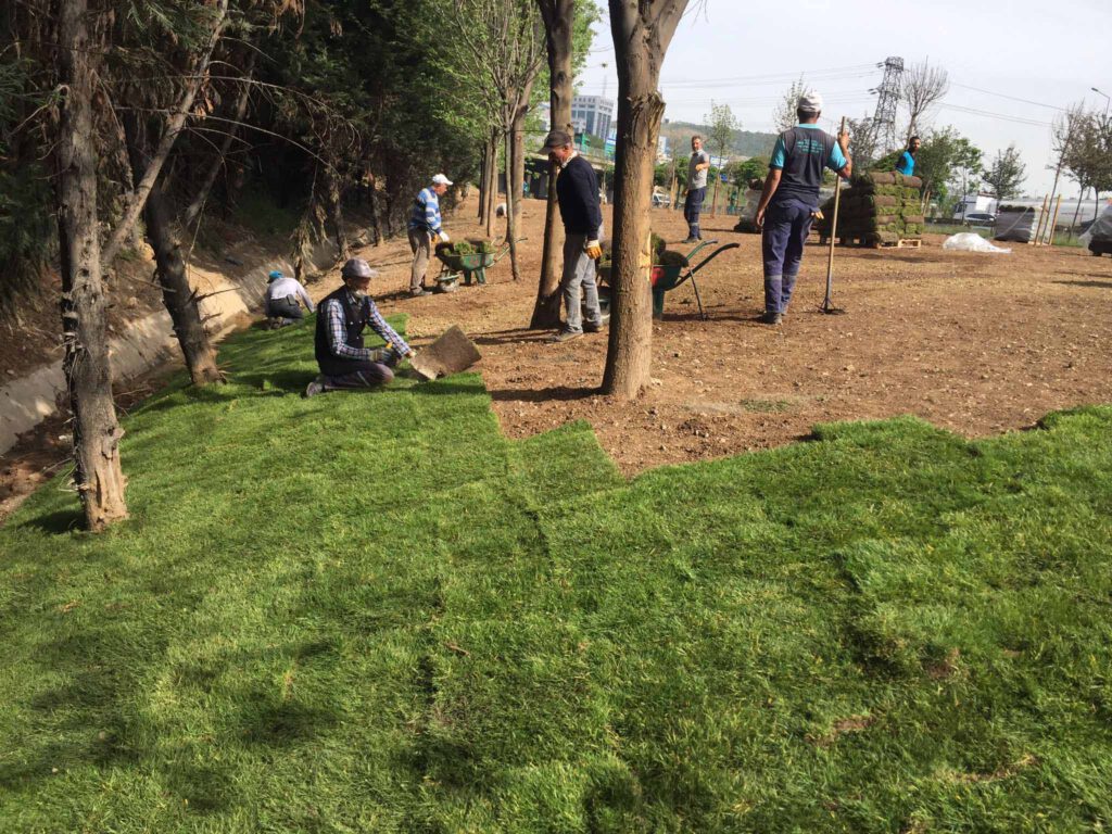 Kocaeli Derince’deki stadın çimleri, Dilovası’na serildi