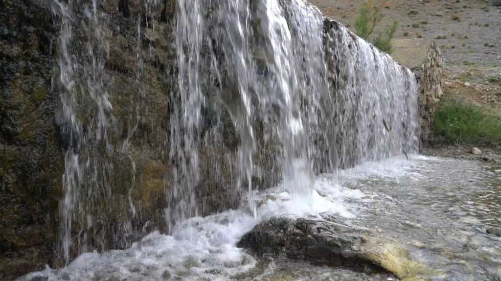 Malatya Karlık Çayı’nda İnci Kefalleri yolculuklarına devam ediyor