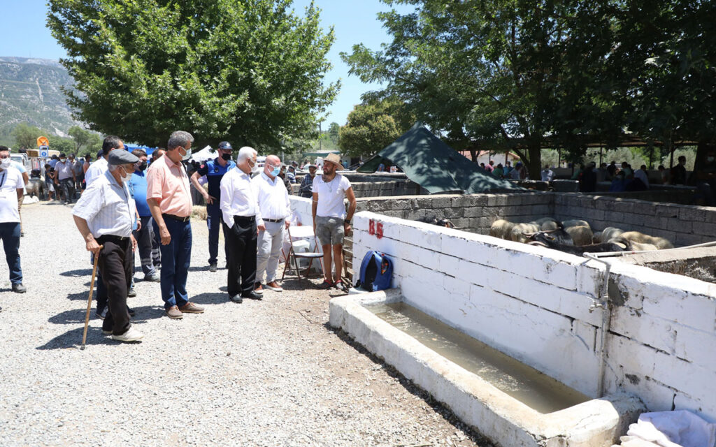 Muğla’da mezbahalara yoğun ilgi