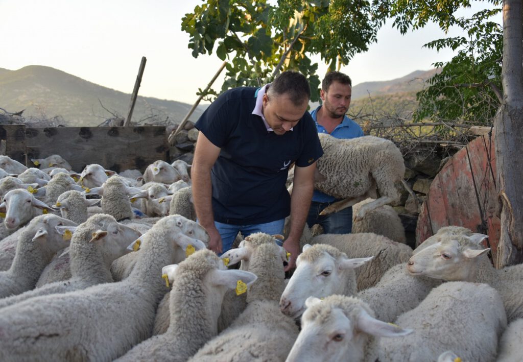 İzmir Aliağa Belediyesi’nden Manavgat’taki köylülere destek