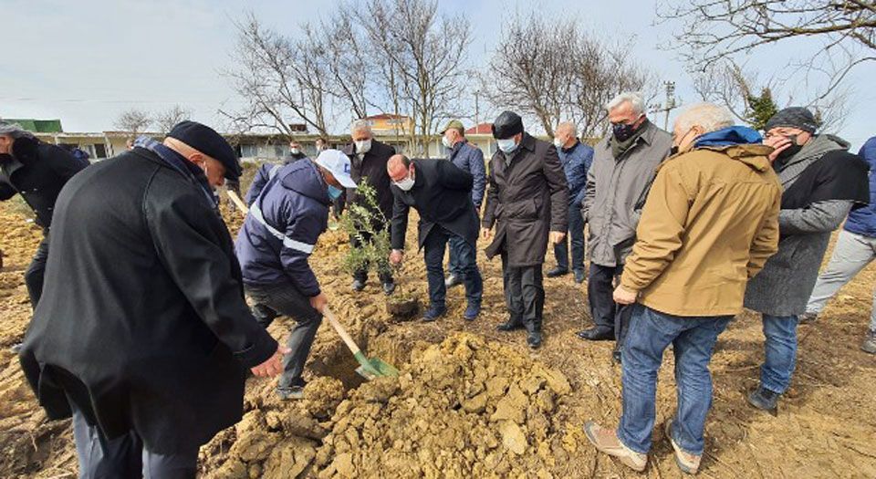 Rusya’dan sürgün edilenler anısına Kandıra’ya 300 zeytin fidanı