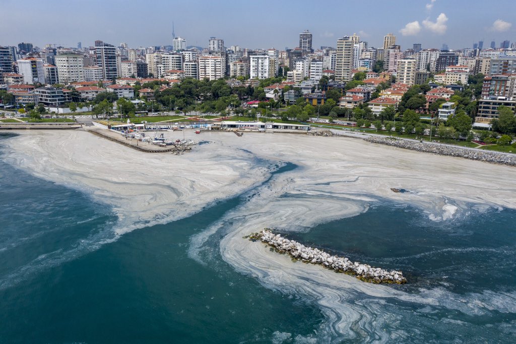 Marmara’da 1700 metreküp müsilaj temizlendi