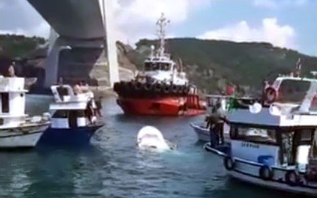 İstanbul’da balıkçı teknesine gemi çarptı: 1 ölü, 2 yaralı!